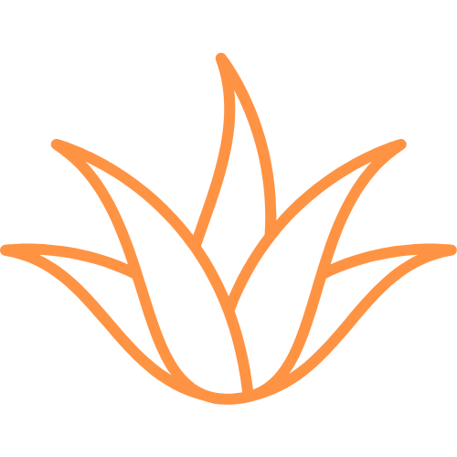Aloe Vera icon
