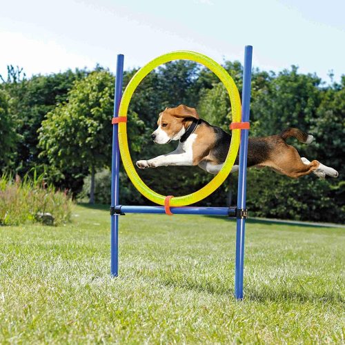 Dog Jump Ring